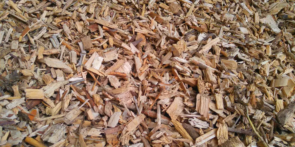 © pixabay.com / fabersam