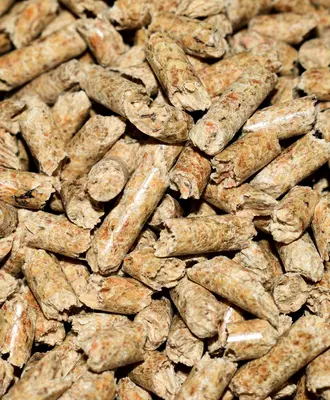 © pixabay.com / Mrdidg